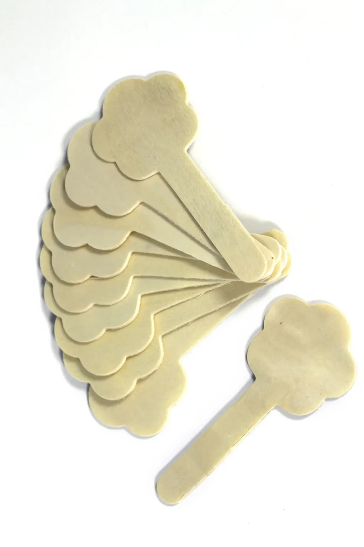 20 Nature Shaped Wooden Craft Sticks