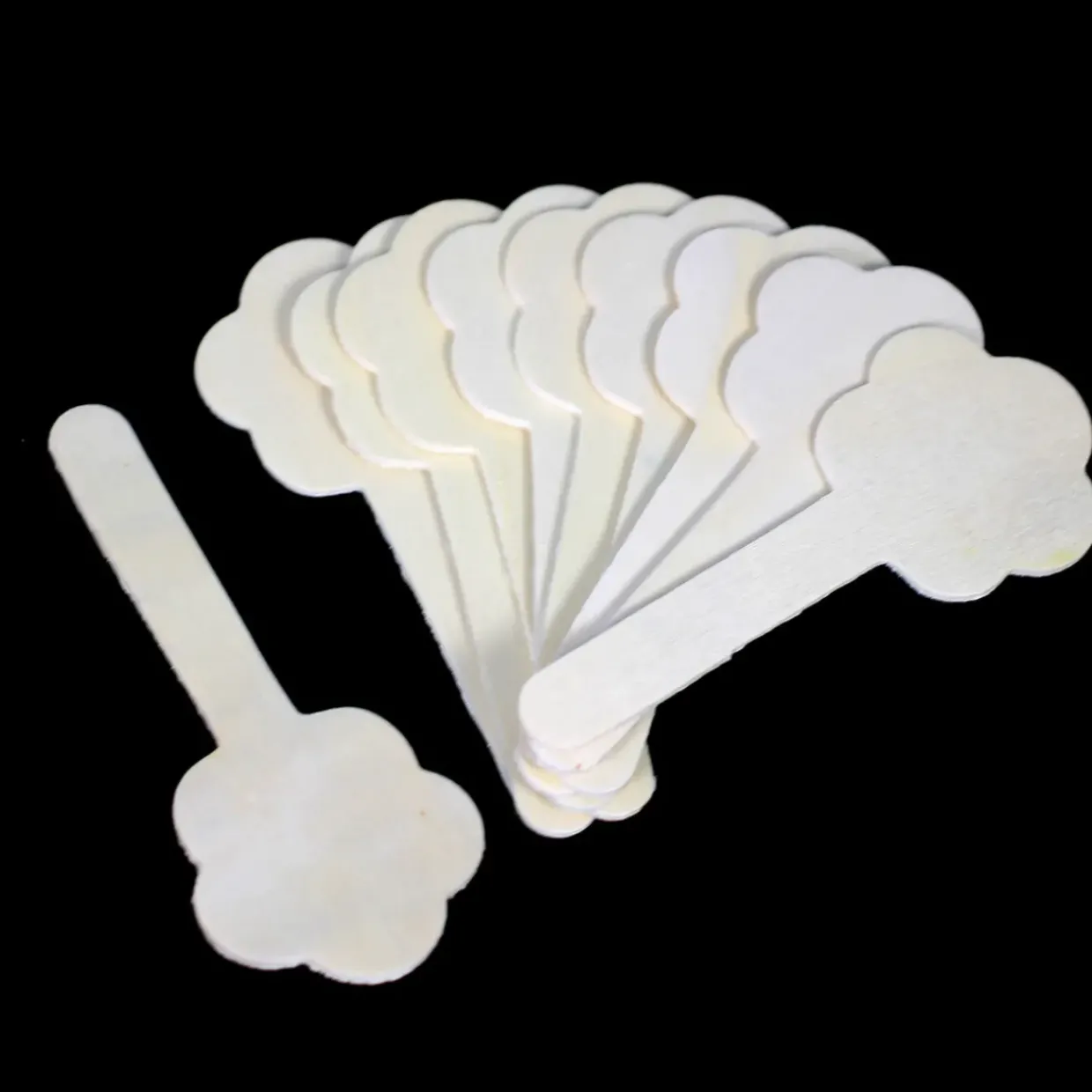 20 Nature Shaped Wooden Craft Sticks