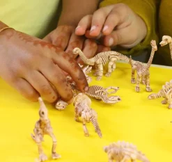 408 pc Dinosaur Skeleton Count & Match Set