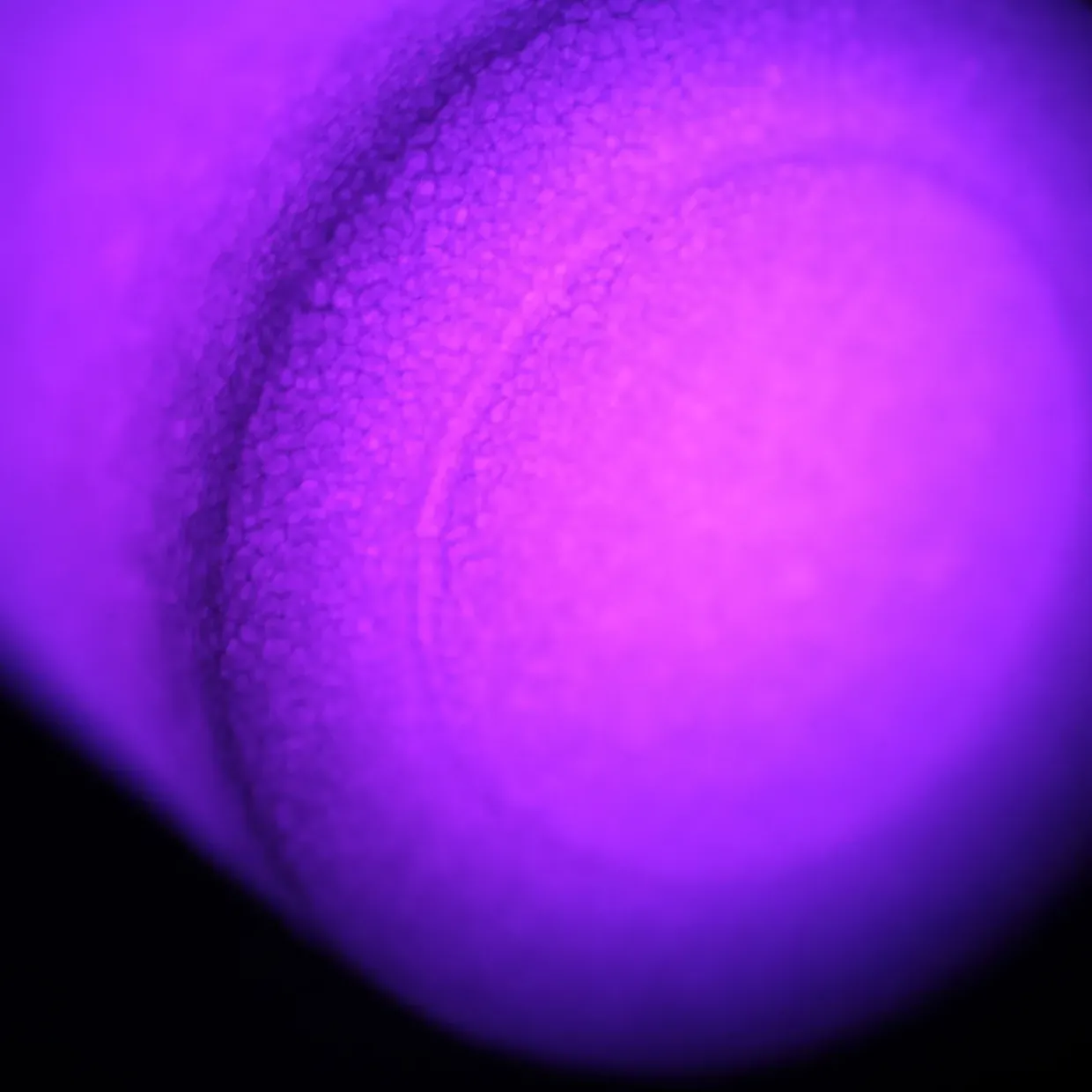 6 Soft Foam Light Up Batons for Sensory Play and Visual Tracking