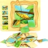 Butterfly Life Cycle Wooden Jigsaw Puzzle