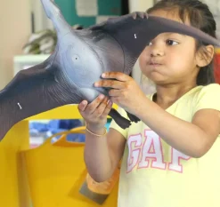 Jumbo Flying Dinosaur Toy - 20 Inch