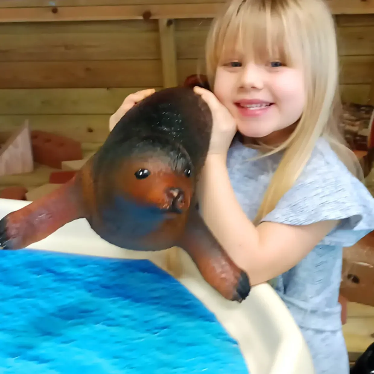 Jumbo Sea Animal Toy - 23" Seal