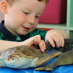 Jumbo Turtle Toy - 11 Inch Small World Play Animal