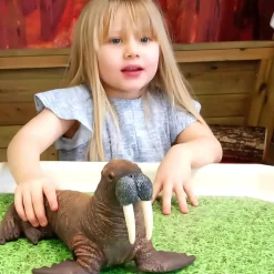 Large Sea Animal Toys - 5pc Walrus Family