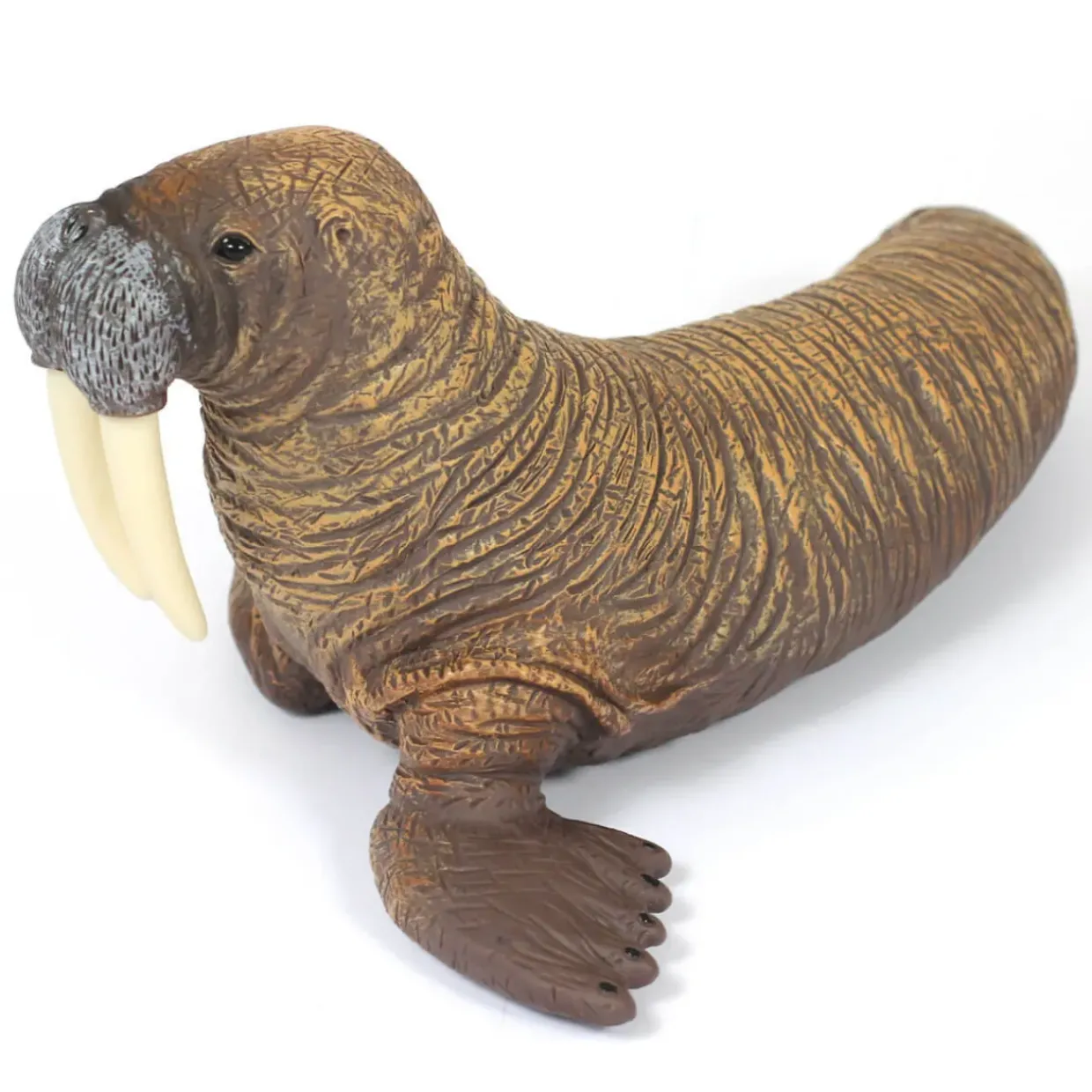 Large Sea Animal Toys - 5pc Walrus Family