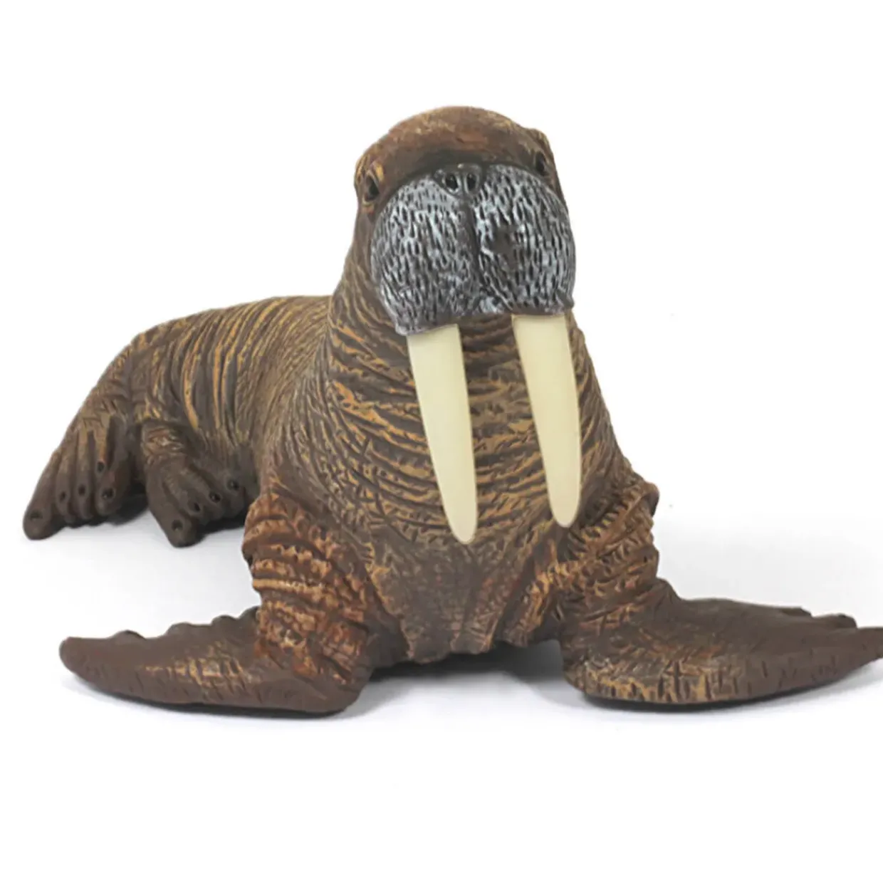 Large Sea Animal Toys - 5pc Walrus Family