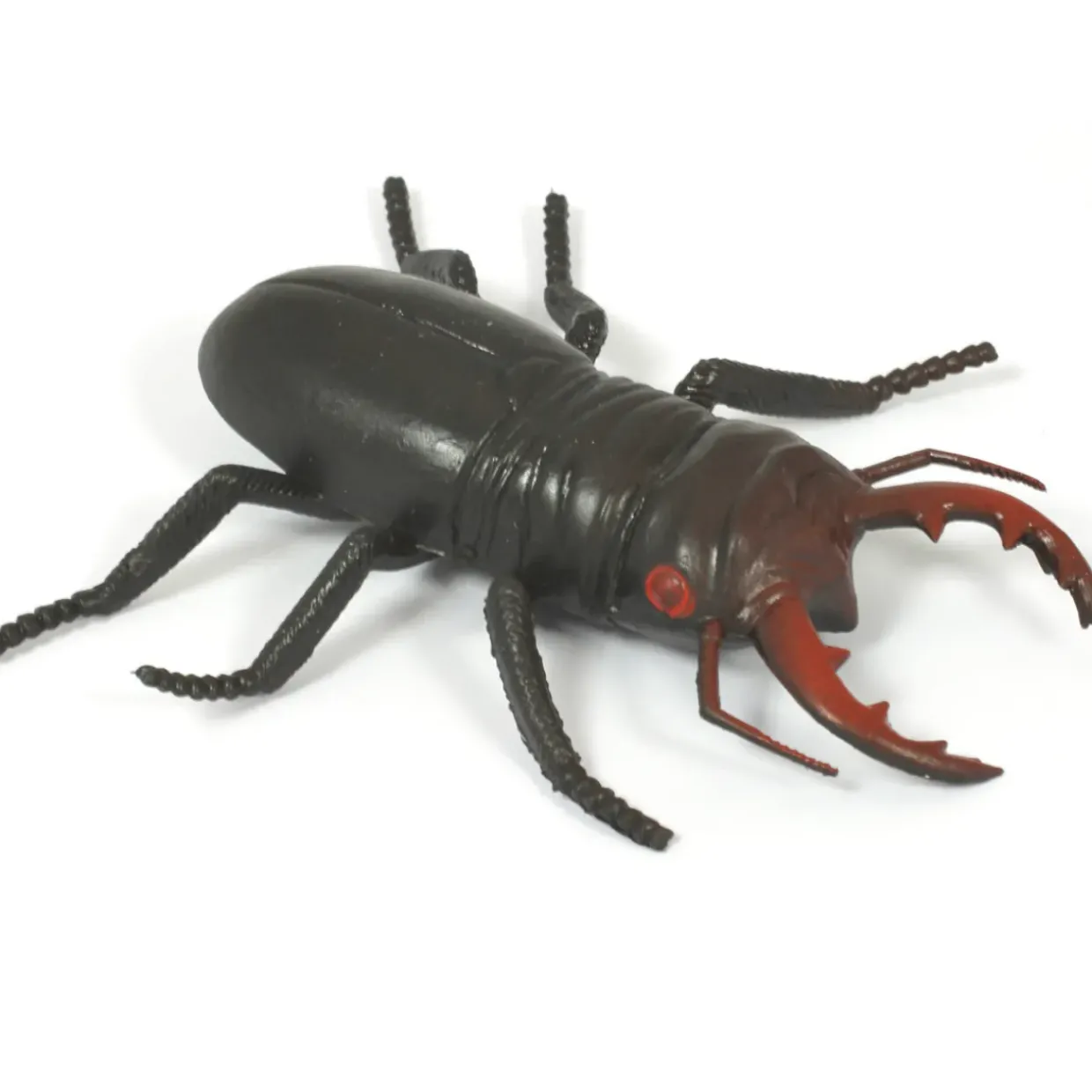 Medium Minibeast Insects 8pcs - Realistic Detailing & Durable
