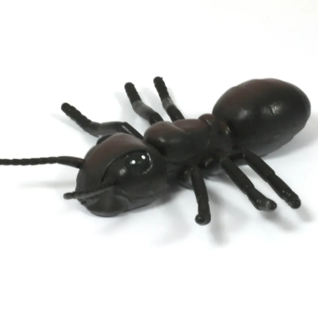 Medium Minibeast Insects 8pcs - Realistic Detailing & Durable