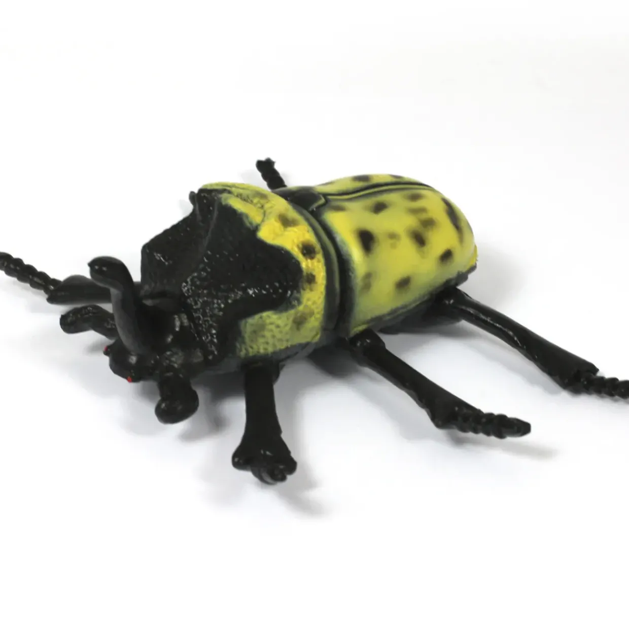 Medium Minibeast Insects 8pcs - Realistic Detailing & Durable
