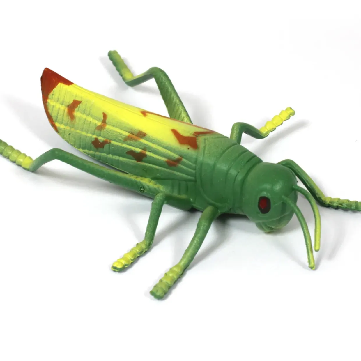 Medium Minibeast Insects 8pcs - Realistic Detailing & Durable