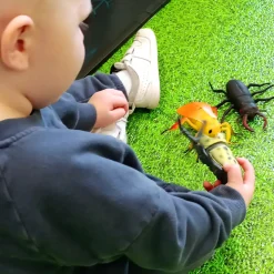 Medium Minibeast Insects 8pcs - Realistic Detailing & Durable