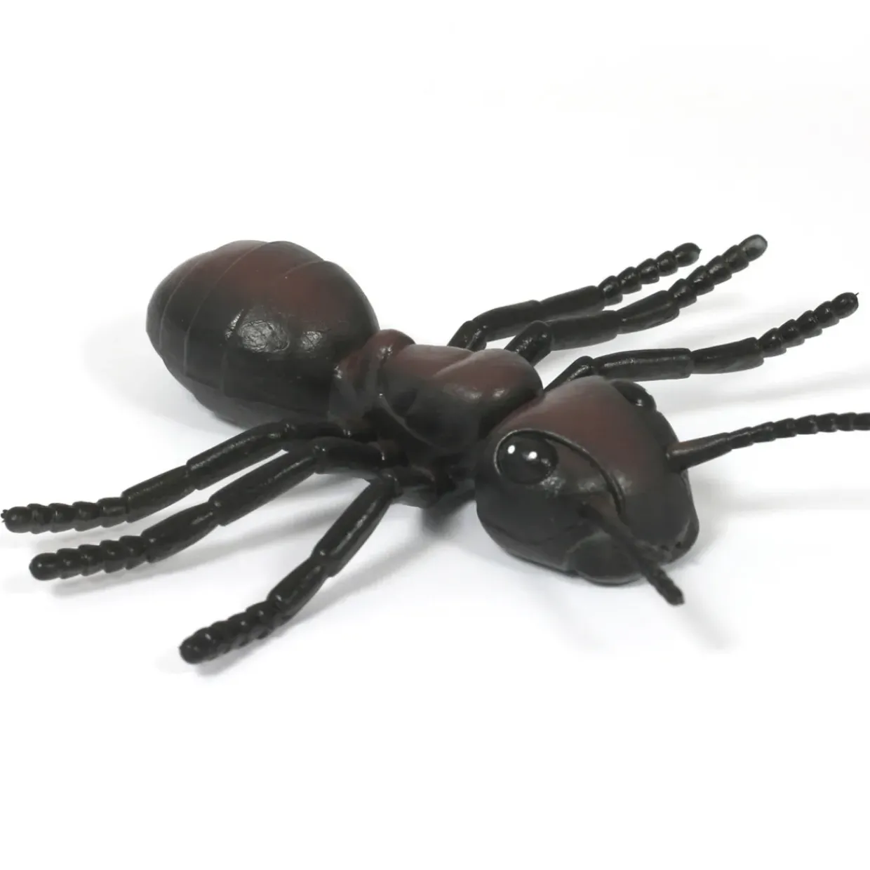 Medium Minibeast Insects 8pcs - Realistic Detailing & Durable