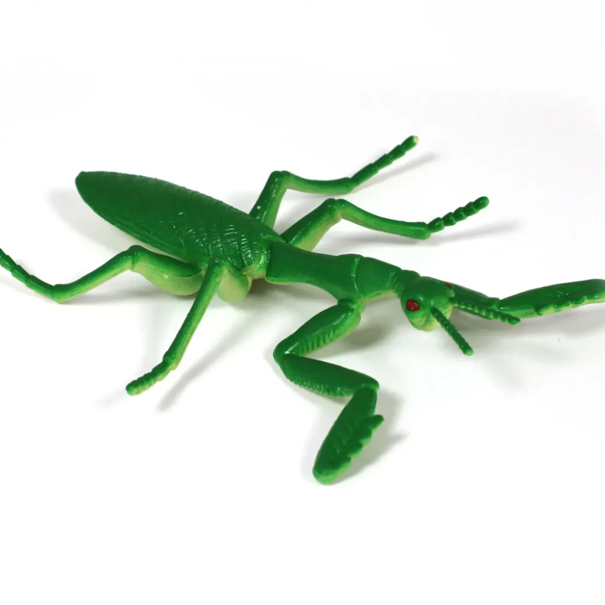 Medium Minibeast Insects 8pcs - Realistic Detailing & Durable