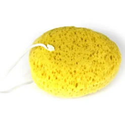 15PC Sensory Tactile Sponge Set for Sensory Stimulation & Therapy