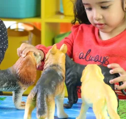 14pcs Large Soft Feel Dogs And Cats