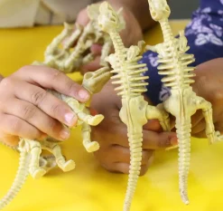 6-Piece Realistic Toy Dinosaur Skeleton Bones Set - Ideal for Pretend Play