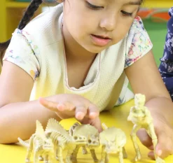 6-Piece Realistic Toy Dinosaur Skeleton Bones Set - Ideal for Pretend Play