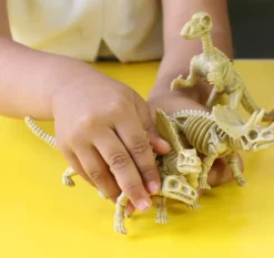6-Piece Realistic Toy Dinosaur Skeleton Bones Set - Ideal for Pretend Play