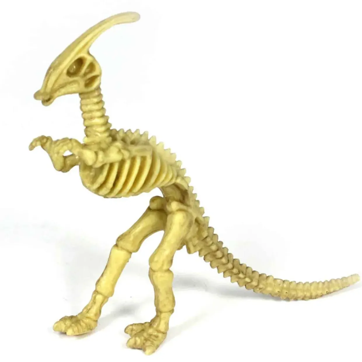 18-Piece Toy Dinosaur Skeleton Bones Set for Hands-On Learning & Adventure