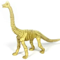 18-Piece Toy Dinosaur Skeleton Bones Set for Hands-On Learning & Adventure