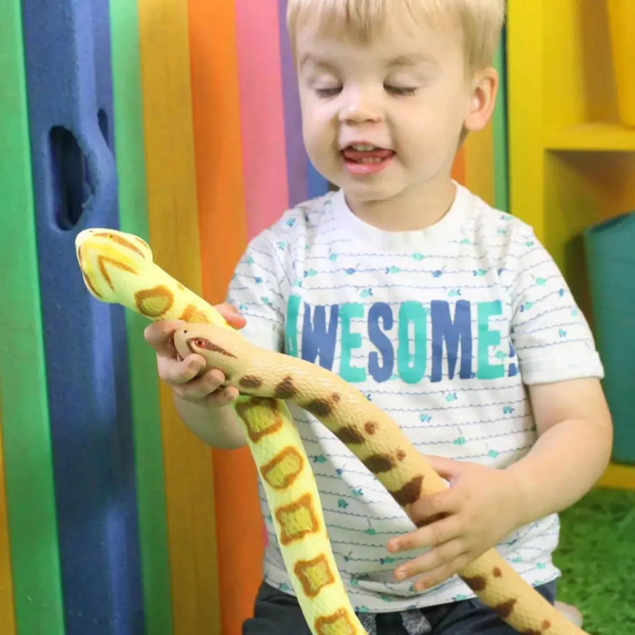 Realistic Rubber Snake Toys - 6pcs