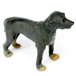 Small World Jumbo Soft Feel Dogs Collection