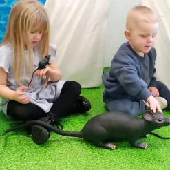 Small World Toy Rat Family (set of 6)