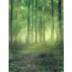 Themed Backdrops 5 x 7ft Various Designs