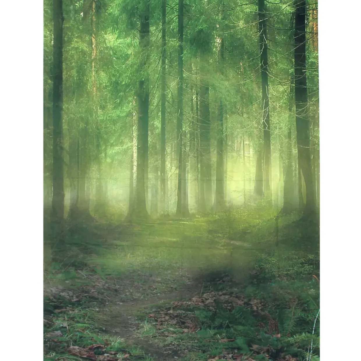 Themed Backdrops 5 x 7ft Various Designs