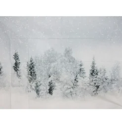 Themed Backdrops 5 x 7ft Various Designs