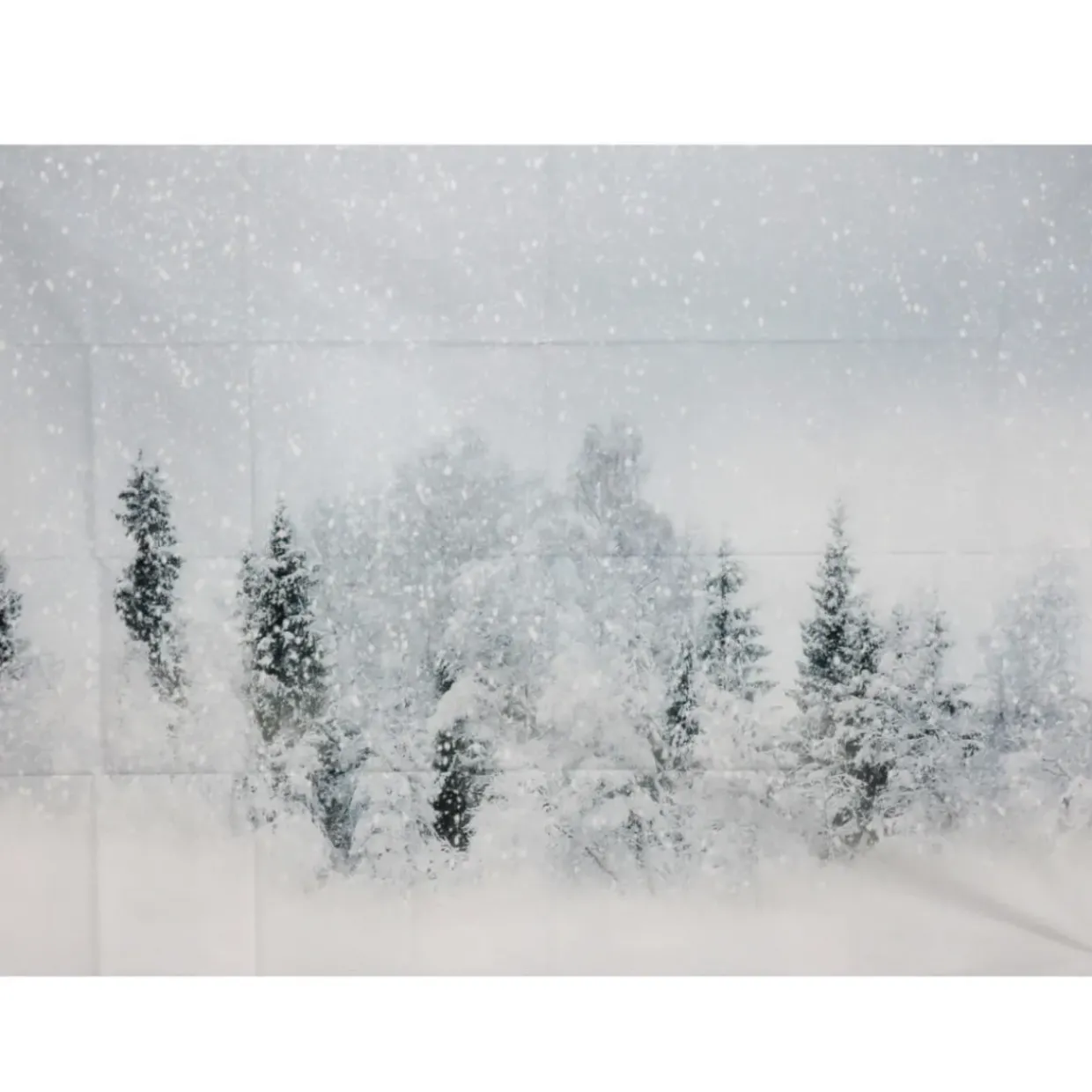 Themed Backdrops 5 x 7ft Various Designs