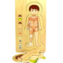 Wooden Human Body Boy 5-Layered Jigsaw Puzzle for Fun & Learning