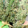 Woodland Green Camouflage Den Netting Fabric